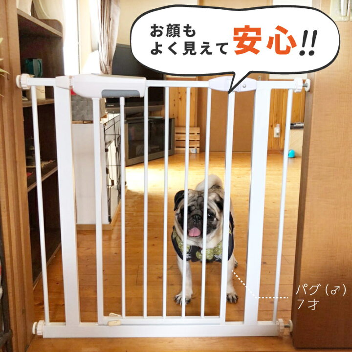 楽天市場 ベビーゲート 階段上 階段下 突っ張り つっぱり 75cm 86cm オートクローズ オートロック 工具不要 90度 180度 キッチン 寝室 セーフティグッズ ベビーフェンス ベビーサークル 突っ張り式 安心 安全 柵 ゲージ あす楽対応 ｍ ｚｎｅｔ