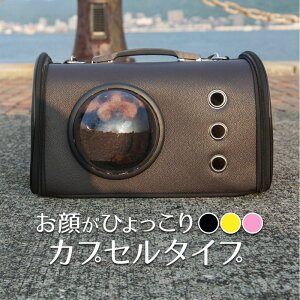 キャリーバッグ かわいいの通販 価格比較 価格 Com