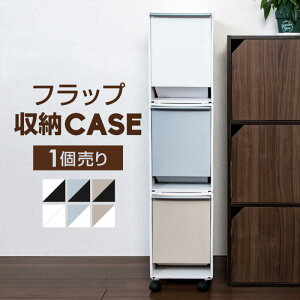プラスチック ケース おしゃれの人気商品 通販 価格比較 価格 Com