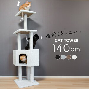 Lbg^[ u L^[   ȃXy[X X 144cm VjA eL qL ܂Ƃ