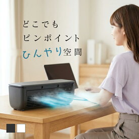 クールエアーミスト ポータブルエアコン ポータブルクーラー 瞬間冷却 充電式 ミニエアコン ミニクーラー 卓上エアコン 卓上クーラー ポータブル冷風機 1年保証 冷風扇 小型 リモコン 車内 キッチン トイレ 寝室 車中泊 猛暑 酷暑