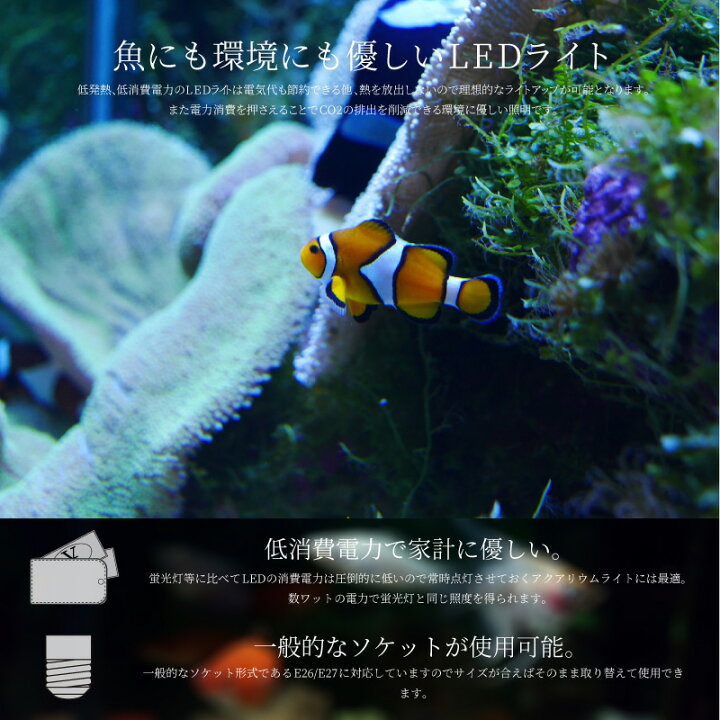 小物などお買い得な福袋 アクアリウム ライト Led 水槽 照明 21w 7led 電球型 E26 E27 ソケット対応 95mm 95mm 観賞用 癒し あすつく対応 Shipsctc Org