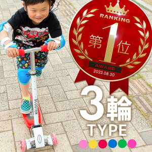 キックボード コンパクトの人気商品 通販 価格比較 価格 Com