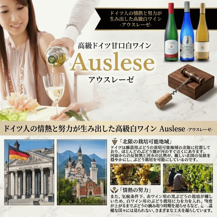 ドイツ・古ワイン　3本 公式】 【完売】【在庫限り】世界三大名醸入り辛口ワイン3本セット