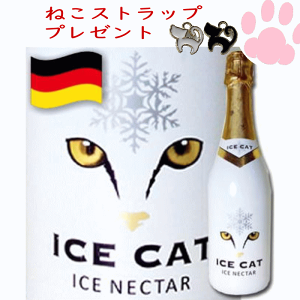 ACXELbg hCc[Ng ˂C 750ml hCc  Xp[NOC ICE CAT C A Xp[NO@c