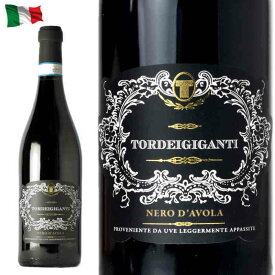 トルディジガンディ アパッシート DOC イタリア 赤 750ml ワイン イタリアワイン