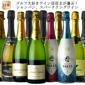 シャンパン、スパークリングワイン　12本セット　会費2000円　8名参加でセッティング、