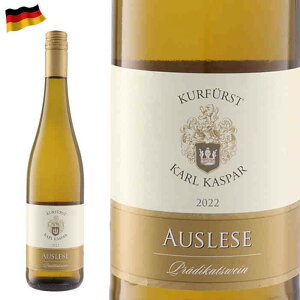 J[EJXp[ AEX[[ hCcC Ì 750ml hCc C 