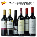 魅惑のティントV9 スペイン 赤 6本 ワイン セット 送料無料 ワインセット 飲み比べセット 福袋 ギフト