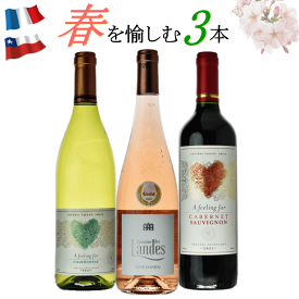 春 ワイン 3本セット 赤 白 ロゼ ミックス フランス チリ ワインセット 送料無料 40代 女性 プレゼント ワインセット