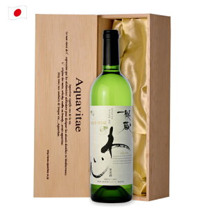 鑠킢ANAB^G ؔ 750ml { R C Mtg v[g ̓ ̓  Ε o^C zCgf[aqt hV̓