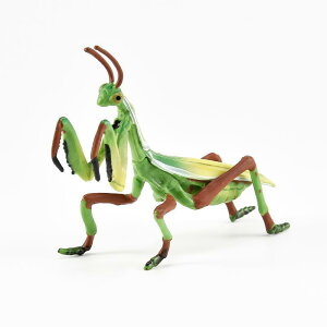 A   q LbY  ͌^ tBMA RNV ߋ fBXvC  J}L ߑ  V~[V  ǂ Mtg