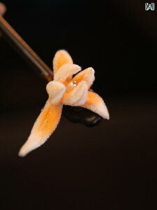 񂴂 wAs l wAANZT[  VN  i GL]`bN GXjbN Mtg fB[X t@bV