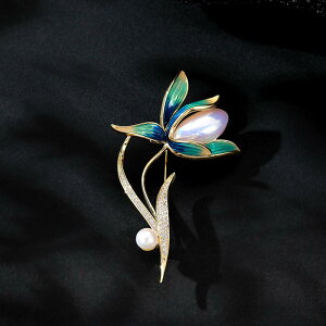 u[`  X[c s Ǝ w fB[X nCGh GKg  }OmA I RT[W I R[g J[fBK ANZT[