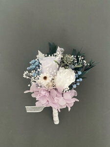 uC_ ANZT[ G vU[uh t[ VY Vw RT[W   uCYCh xXg} QXg RT[W