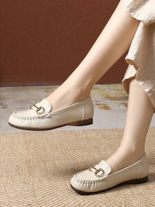 ܐ ۂ pvX[q[ [t@[ fB[X JWA v l  ₷ t ؂ ~   AC{[