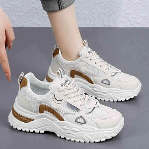 X|[c V[Y 傫TCY wlC t Ch tbg _fB V[Y fB[X y jO Ռ z X|[c g[jO bV