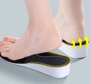 V[NbgC\[ Y fB[X A[`T|[g Ռz ~ z hL ʋC X|[c \tg  pbh ubN CG[ zCg