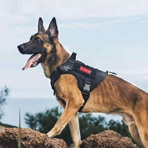 ハーネス 犬 足を通さず タクティカル ベスト ポーチ ステッカー バックル ストラップ サイズ調節可能 持ち手 面ファスナー 水筒ホルダー オックスフォード 散歩 アウトドア シンプル 緑 黒