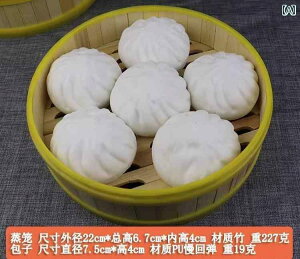 中華料理店 食品サンプル リアル 模型 小道具 メニュー ディスプレイ 装飾 フェイク レプリカ 飲食 見本 展示 業務用 レストラン 食堂 食べ物 蒸籠 点心