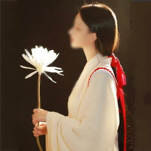  g   tFA[ ʐ^ X^WI Be t[TCY fB[X  t@bV ߑ tHg Rbg zCg