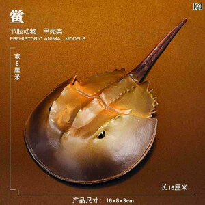   A CmÐ q ߋ m  wZ ct TvCY tBMA a v[g JugKj Gr WS