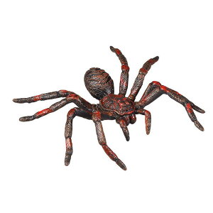 A   q LbY  ͌^ w tBMA ߋ RNV G fBXvC   hbL TvCY   