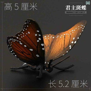   V  A  tFCN  tBMA ͌^ q ߑ  I J}L T\ ĂƂ JugV ob^  hbL ACe