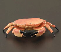 楽天市場】カニ 蟹 フィギュアの通販