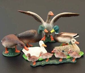 A  tBMA  }K Aq  Aj} ͌^ q  mߋ ̐}  CeA v[g RNV 킢  F  PVC