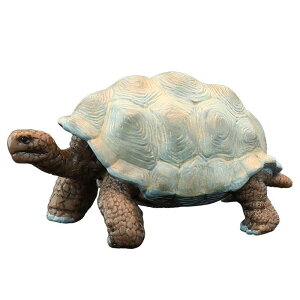 A  tBMA ]EK T ͌^ ~j`A 쐶  Aj} mߋ ̐} q  RNV CeA v[g PVC