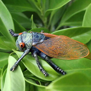 tBMA  A ͌^ vX`bN ~j`A q ̐}  RNV v[g mߋ   l` Z~  