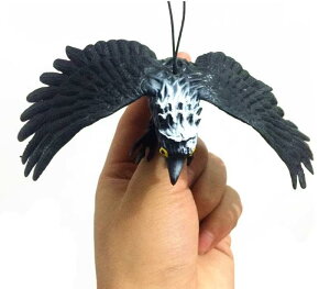 A  tBMA s 傫  mߋ ~j`A ̐} 쐶   l` v[g CeA RNV Aj} V  F NAJ[ PVC