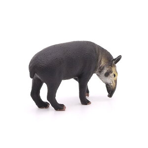 A  tBMA q mߋ  쐶  RNV CeA Aj} ~j`A  PVC ̐} l` w v[g AJoN