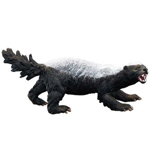  tBMA A PVC q v[g Aj} FmB mߋ c  ~j`A fBXvC RNV u AiO}