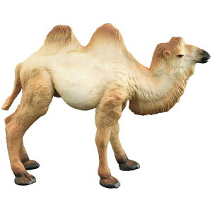  tBMA A vX`bN 􂦂 q v[g Aj}  FmB mߋ c  ~j`A fBXvC RNV u AC{[ N_