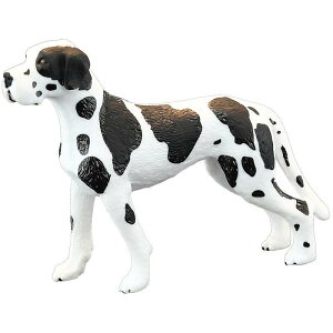  tBMA A vX`bN 􂦂 q v[g mߋ c  ~j`A fBXvC RNV u   _VA