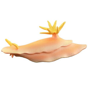 Cm tBMA A vX`bN 􂦂 q v[g Aj} c FmB mߋ  ~j`A fBXvC RNV u IW E~EV