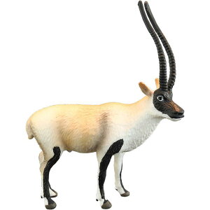  tBMA A vX`bN 􂦂 Op q v[g mߋ c  ~j`A fBXvC u  CeA G Vp `xbgAe[v