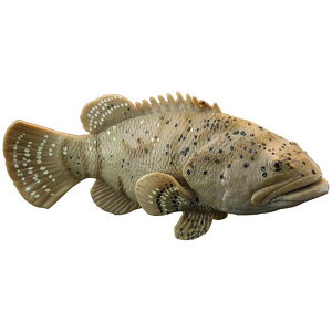 Cm tBMA A PVC 􂦂 q v[g Aj} c FmB mߋ  ~j`A fBXvC RNV u L n^