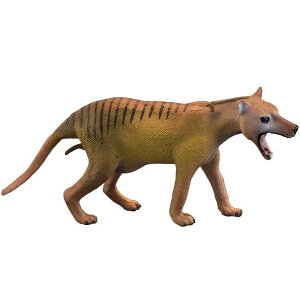  tBMA A q v[g vX`bN 􂦂  mߋ c  ~j`A fBXvC u  CeA G  tNIIJ~