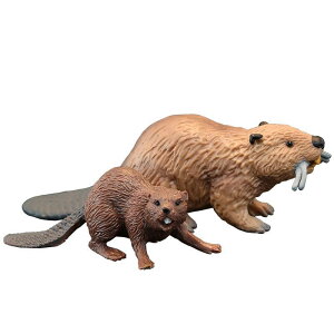  tBMA A vX`bN q v[g 􂦂 Aj} mߋ c  ꖎ ͌^ ~j`A fBXvC u  CeA G r[o[