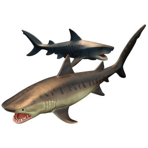 Cm tBMA A PVC 􂦂 q v[g Aj} c FmB mߋ  ~j`A fBXvC RNV u T