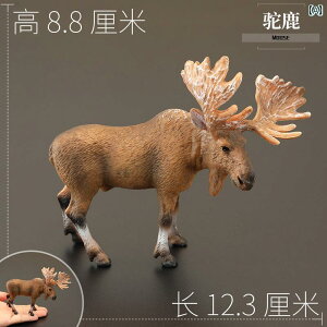  tBMA A vX`bN q v[g 􂦂 Aj} mߋ c  ͌^ ~j`A fBXvC u  CeA G L wWJ