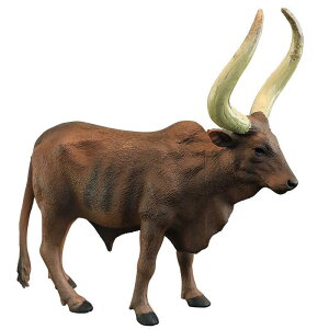  tBMA A q _炩 p Aj} mߋ c  ~j`A fBXvC u  CeA G   PVC