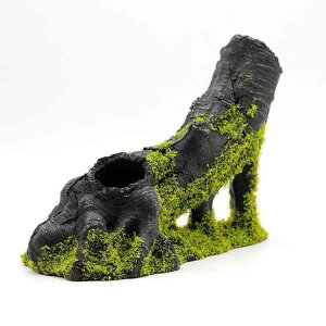  ANAE IuWF I[ig  ANZT[ eE   N B VF^[  CeA Mы  _J Gr Ϗ u   fR[V 