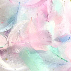 CX^ Be   H lCA[g RX ANZT[ ʐ^ f i CeA G fBXvC   sN 