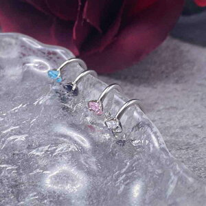 sAX   ANZT[ O Xg[ bv O T[L[ X^bh `^| I pN     sN 