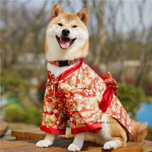    a 킢 ʐ^ Be ybg ԕ g sN  L R[M[ Č