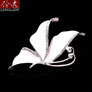 u[`  ؍  p Vv GKg   RT[W w Ǝs J[fBK fB[X t@bV ANZT[ WG[